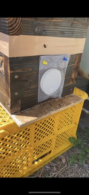 ニホンミツバチ重箱式巣箱の鉄製台作成