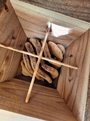 蜜蜂巣箱３段監視扉 蜜蜂巣箱3段監視扉付
