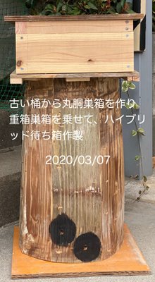 丸洞ハイブリット巣箱 日本蜜蜂の丸洞式巣箱(ハイブリッド巣箱)の材質について