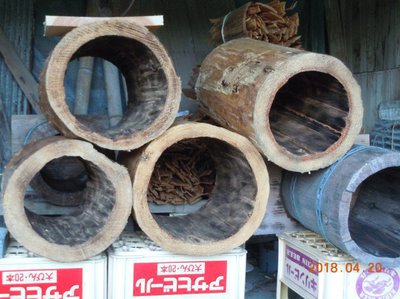 丸胴巣箱を作るため杉の丸太をくりぬきました